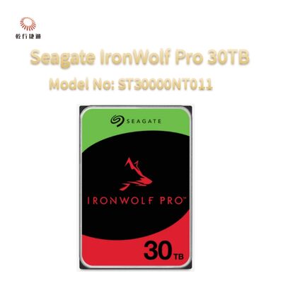 সিগেট আইরনউলফ প্রো 30TB মডেল নংঃ ST30000NT011