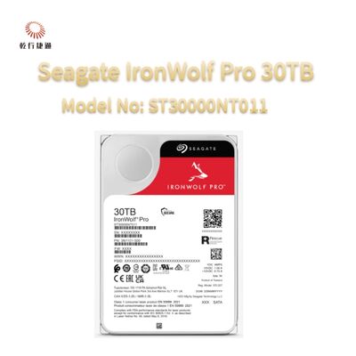 সিগেট আইরনউলফ প্রো 30TB মডেল নংঃ ST30000NT011