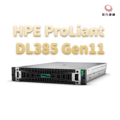 HPE ProLiant DL385 Gen11 ডিজিটাল রূপান্তরের জন্য নিরাপদ এবং শক্তিশালী র্যাক স্টোরেজ সার্ভার
